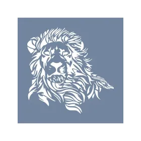 EHH30 Aslan Desen Stencil 40x40cm