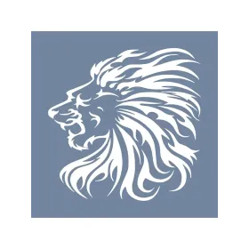 EHH34 Aslan Desen Stencil 20x20cm