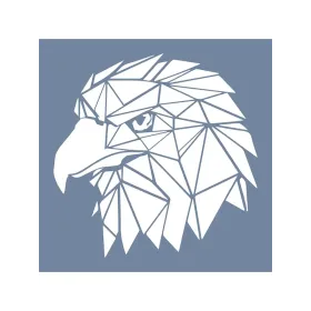 EHVH15 Kartal Desen Stencil 25x25cm