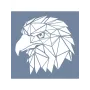 EHVH15 Kartal Desen Stencil 25x25cm