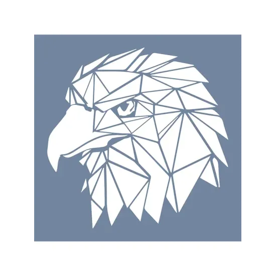 EHVH15 Kartal Desen Stencil 45x45cm