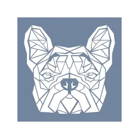 EHVH27 Pug Desen Stencil 45x45cm