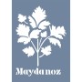 EHB77 Maydanoz Stencil 21x30cm