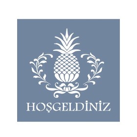 EHKS05 Ananas Stencil 40x40cm