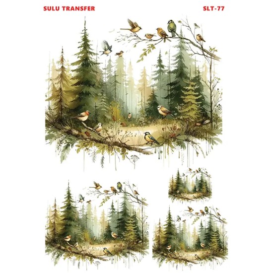 Çiğdem Işık Sulu Transfer SLT077 25x35cm