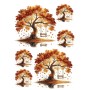 Çiğdem Işık Sulu Transfer SLT080 25x35cm
