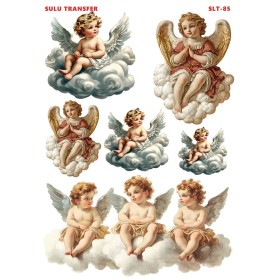 Çiğdem Işık Sulu Transfer SLT085 25x35cm