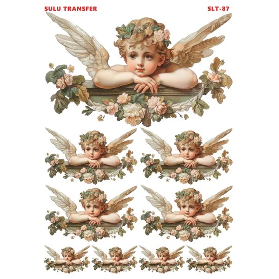 Çiğdem Işık Sulu Transfer SLT087 25x35cm