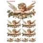 Çiğdem Işık Sulu Transfer SLT087 25x35cm