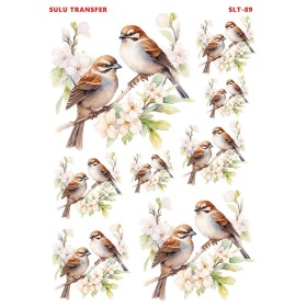 Çiğdem Işık Sulu Transfer SLT089 25x35cm