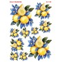 Çiğdem Işık Sulu Transfer SLT090 25x35cm
