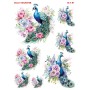 Çiğdem Işık Sulu Transfer SLT091 25x35cm