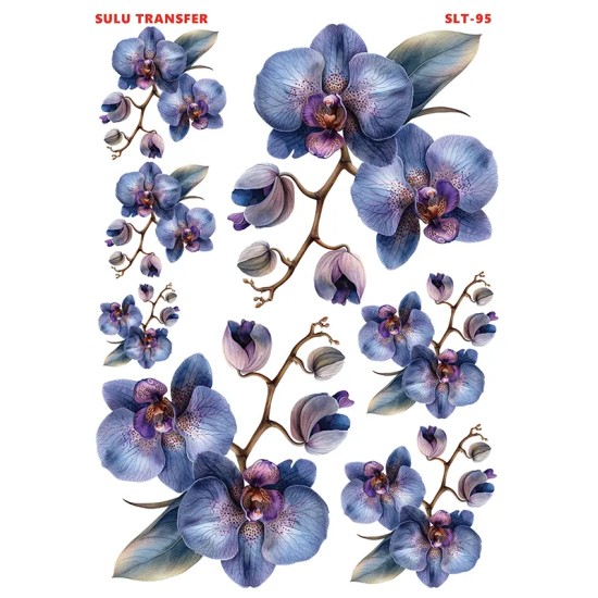Çiğdem Işık Sulu Transfer SLT095 25x35cm
