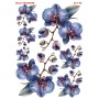Çiğdem Işık Sulu Transfer SLT095 25x35cm