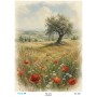 8251 Diamond Pirinç Dekopaj Kağıdı Plus Serisi 30x42cm