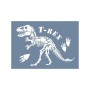 EHH09 Trex Desen Stencil 21x30cm