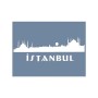 D1036 İstanbul Model D Serisi Stencil 15x20cm