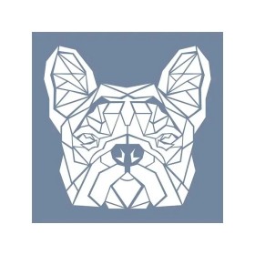 EHVH27 Pug Desen Stencil 45x45cm