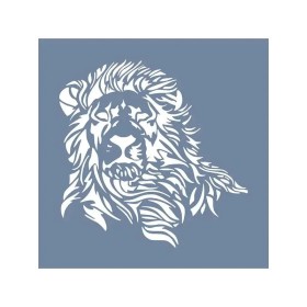 EHH30 Aslan Desen Stencil 40x40cm