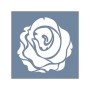 EHB232 Gül Stencil 60x60cm