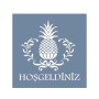 EHKS05 Ananas Hoşgeldiniz Stencil 20x20cm