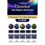 5X30ML Chameleon Renk Değiştiren Metalik Boya - Profesyonel 5'li Tam Renk Koleksiyonu