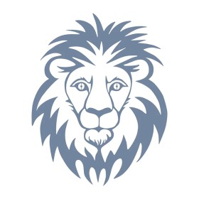 Evimde Hobi EHH33 Aslan Desen Stencil 21x30cm | Evimde Hobi