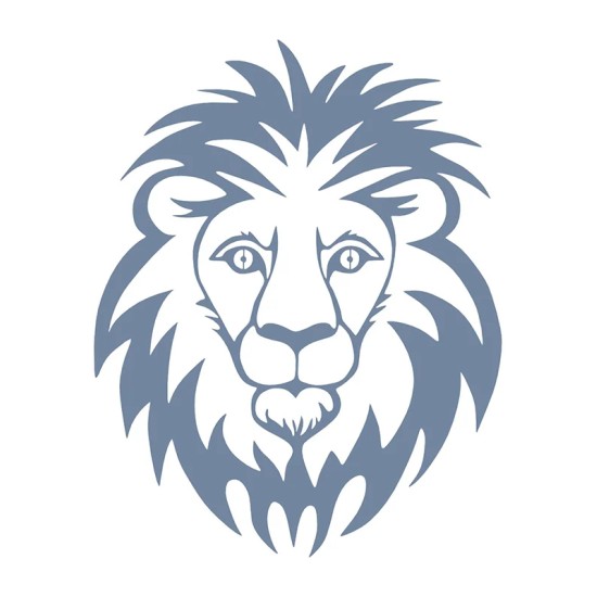 Evimde Hobi EHH33 Aslan Desen Stencil 21x30cm | Evimde Hobi