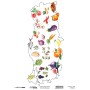 Model 32 Kooky Cadence Pirinç Dekopaj Kağıdı 30X42cm