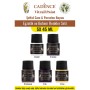 5X45ML Vitray Şeffaf Cam Boyası - Egzotik ve Bohem Renkler Seti