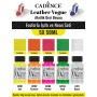 5X50ML Akrilik Deri Boyası - Fosforlu Işıltı ve Neon Seti