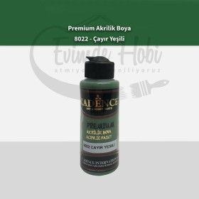 Premium Akrilik Boya 8022 Çayır Yeşili 120ML