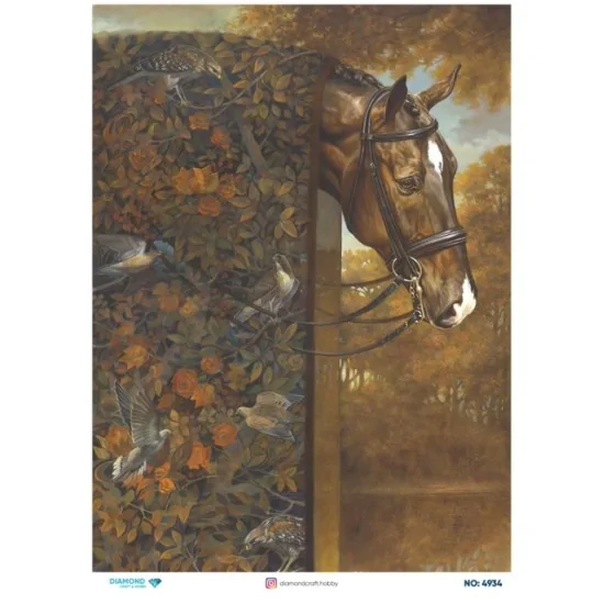 4934 Diamond Pirinç Dekopaj Kağıdı 30x42cm 4934 Diamond Pirinç Dekopaj Kağıdı 30x42cm