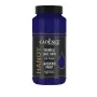 Cadence Vernikli Lake Boya L034 Mor Lacivert 450ml Cadence Vernikli Lake Boya L034 Mor Lacivert 450ml