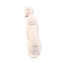 HYK1159 Kapüşonlu Köpek Ham Polyester Obje HYK1159 Kapüşonlu Köpek Ham Polyester Obje