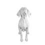 HYK692 Av Köpeği Fiber Obje HYK692 Av Köpeği Fiber Obje