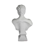 HYK892 Büyük Davıd Büstü Ham Polyester Obje HYK892 Büyük Davıd Büstü Ham Polyester Obje