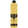 Premium Akrilik Boya 0590 Kavun Sarı 500ML Premium Akrilik Boya 0590 Kavun Sarı 500ML