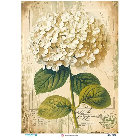 7987 Diamond Pirinç Dekopaj Kağıdı 30x42cm
