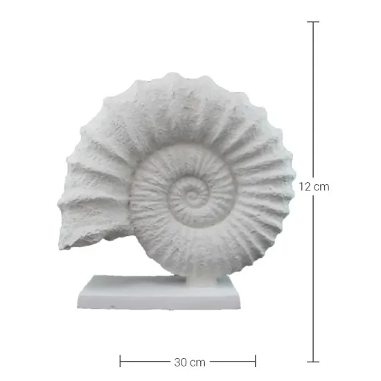 HYK313 Kadieli Deniz Kabuğu Ham Polyester Obje