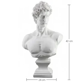 HYK420 Çatık Kaşlı David Büst Ham Polyester Obje