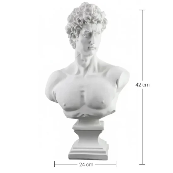 HYK420 Çatık Kaşlı David Büst Ham Polyester Obje