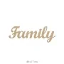 DS119 "Family" Yazılı Dekoratif Duvar Süsü Ham Ahşap Boyanabilir Obje