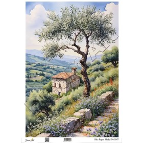 Model 1847 DreamArt Pirinç Dekopaj Kağıdı