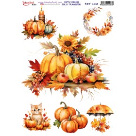 KST112 Koyu Zemin Sulu Transfer Kağıdı (25x35)