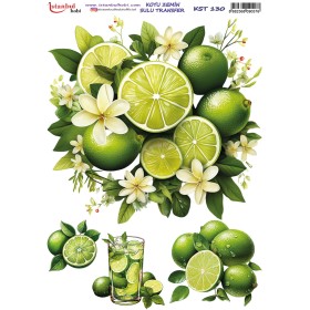 KST130 Koyu Zemin Sulu Transfer Kağıdı (25x35)