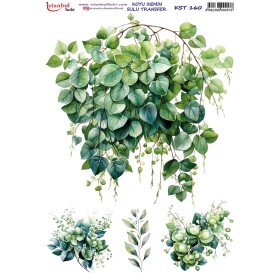 KST160 Koyu Zemin Sulu Transfer Kağıdı (25x35)