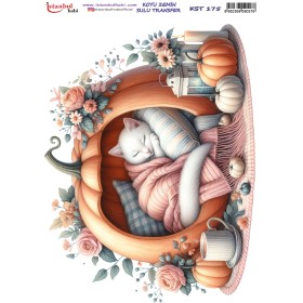 KST175 Koyu Zemin Sulu Transfer Kağıdı (25x35)