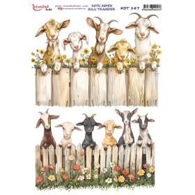 KST187 Koyu Zemin Sulu Transfer Kağıdı (25x35)