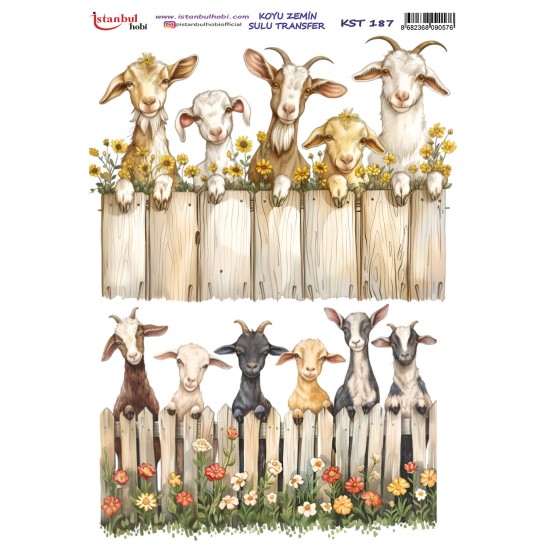 KST187 Koyu Zemin Sulu Transfer Kağıdı (25x35)